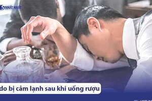 Lý do dễ bị cảm lạnh sau khi uống rượu