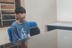 Bắt giữ kẻ sát hại nữ nhân viên chuyển phát nhanh tại Hải Dương