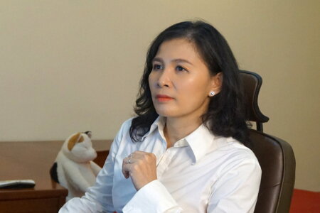 Nhà báo Hàn Ni bị truy tố vì tiết lộ bí mật đời tư bà Nguyễn Phương Hằng