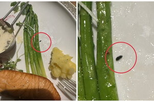 Khách bức xúc tố có phân chuột trong thức ăn, nhà hàng ở TP.HCM giải thích đó là tỏi cháy