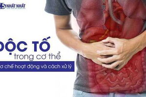 Độc tố trong cơ thể: Cơ chế hoạt động và cách xử lý