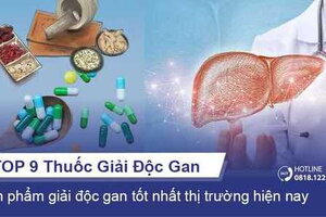 TOP 9 thuốc giải độc gan tốt năm 2022