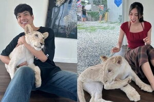 Dàn Hoa hậu Việt nói gì về tin Tiểu Vy hẹn hò với Nicky Nachat?