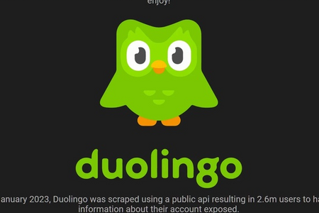 Dữ liệu 2,6 triệu người dùng DuoLingo, trong đó có người Việt bị phát tán miễn phí 