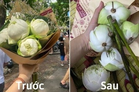 Mua hoa sen chụp ảnh đu trend mùa thu Hà Nội, cô gái sốc ngang khi về mở ra cắm vào lọ 