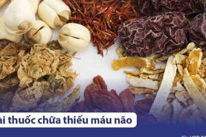 11 bài thuốc dân gian chữa thiếu máu não hiệu quả nhất