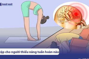 10 bài tập cho người thiểu năng tuần hoàn não dễ thực hiện