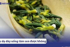 Đau dạ dày có uống được tâm (tim) sen?