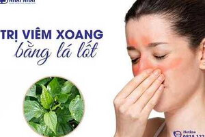 Trị viêm xoang bằng lá lốt có hiệu nghiệm?