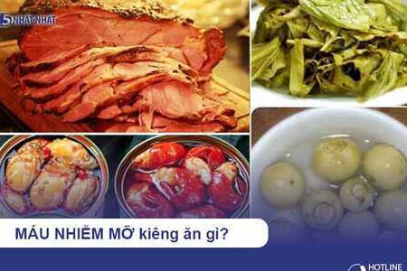 Máu nhiễm mỡ kiêng ăn gì để tránh biến chứng