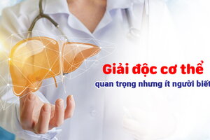 Giải độc cơ thể: điều quan trọng nhưng ít người biết cách