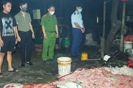 Hà Nam: Gần 6,2 tấn nội tạng, mỡ động vật ‘bốc mùi’ sắp ra thị trường thì bị 'chặn'