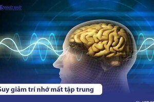 Nguyên nhân suy giảm trí nhớ mất tập trung ở người trẻ & Cách điều trị