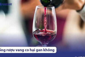 Uống rượu vang có lợi hay gây hại cho gan?