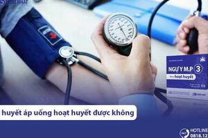 Cao huyết áp có nên uống hoạt huyết dưỡng não không?