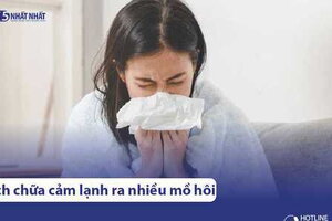 8 Cách chữa cho người bị cảm lạnh ra nhiều mồ hôi An Toàn, Hiệu Quả