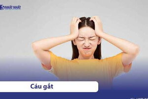 Hay cáu gắt với người thân do đâu? Dấu hiệu bệnh hay do tính cách?