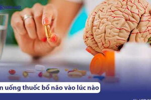 Nên uống thuốc bổ não vào lúc nào? Hướng dẫn uống đúng cách