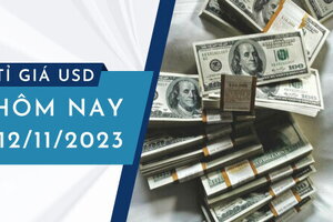 Tỷ giá USD hôm nay 12/11/2023: Trong nước giảm, thế giới tăng