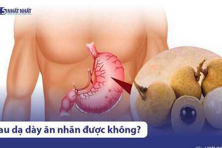 Đau dạ dày có nên ăn nhãn không? 3 Cách ăn nhãn tốt cho dạ dày