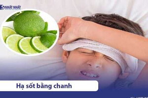 5 cách hạ sốt cho trẻ bằng chanh tại nhà nhanh khỏi, hiệu quả cao