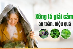 Chia sẻ: Xông lá giải cảm an toàn, hiệu quả