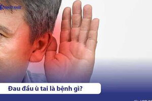 Đau đầu ù tai: Dấu hiệu của bệnh lý nguy hiểm?