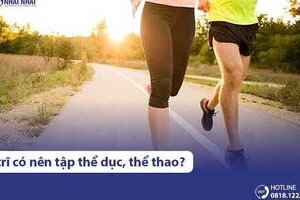 Bị trĩ có nên tập thể dục, chơi thể thao không? Tập môn nào tốt?