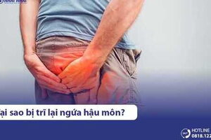 Vì sao bệnh trĩ gây ngứa hậu môn? 5 cách giảm ngứa hiệu quả