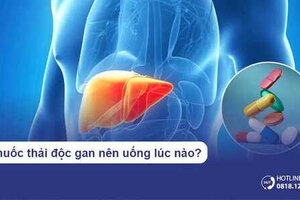 Thuốc thải độc gan nên uống lúc nào? Hướng dẫn uống đúng cách