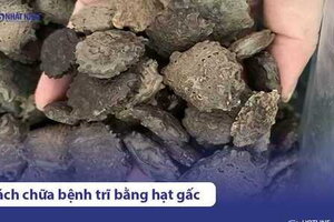 [Bật mí] Chữa bệnh trĩ bằng hạt gấc bằng #2 mẹo dân gian hiệu quả