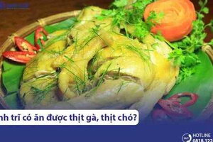 Người bệnh trĩ, mới cắt trĩ có ăn được thịt gà, thịt chó không?