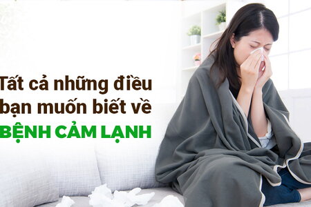 Tất cả những điều bạn muốn biết về bệnh cảm lạnh