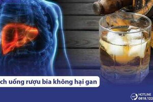 7 cách uống rượu không hại gan cần nhớ trước mỗi cuộc nhậu