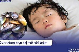 5 món ăn từ con trùng trục trị mồ hôi trộm cho trẻ hiệu quả