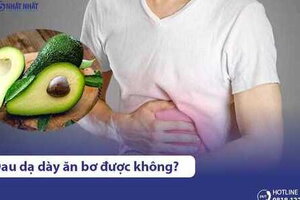 Đau dạ dày, trào ngược dạ dày có ăn bơ được không? Ăn thế nào tốt?