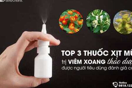 TOP 3 thuốc xịt mũi trị viêm xoang thảo dược được người tiêu dùng đánh giá cao