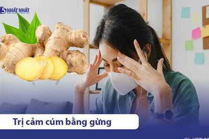 7 cách chữa trị cảm cúm, cảm lạnh bằng gừng cực hiệu quả