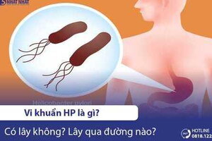 Vi khuẩn HP là gì? Có lây không? Lây qua đường nào?