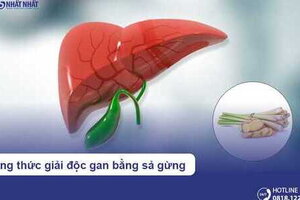 [Khám phá ngay!] Công thức giải độc gan bằng sả gừng