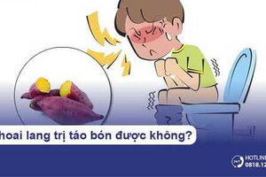 Khoai lang trị táo bón được không?