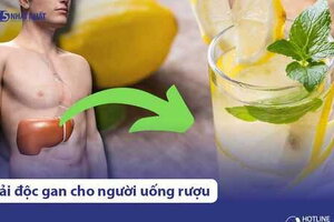 9 cách giải độc gan cho người hay uống rượu bia đơn giản, hiệu quả