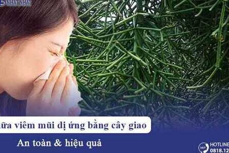 [Mách bạn] Cách chữa viêm mũi dị ứng bằng cây giao