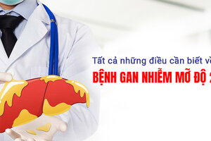 Tất cả những điều cần biết về bệnh gan nhiễm mỡ độ 2