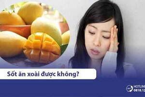 Giải đáp thắc mắc: Người bị sốt ăn xoài có được không?