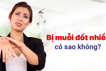 Lời giải cho câu hỏi: Bị muỗi đốt nhiều có sao không? 