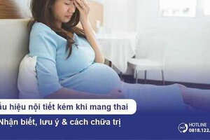 Dấu hiệu nội tiết kém khi mang thai - Mẹ bầu cần lưu ý gì?