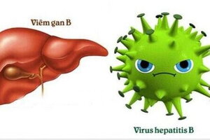 Tìm hiểu viêm gan B lây qua đường nào và cách phòng tránh