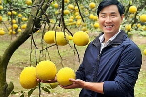 MC 40 tuổi giàu nhất nhì Vbiz, sở hữu chuỗi nhà hàng và nhiều bất động sản là ai?