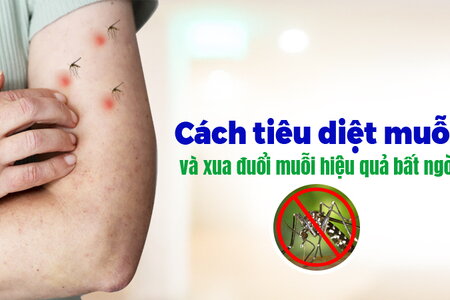 Cách tiêu diệt muỗi và xua đuổi muỗi hiệu quả bất ngờ!